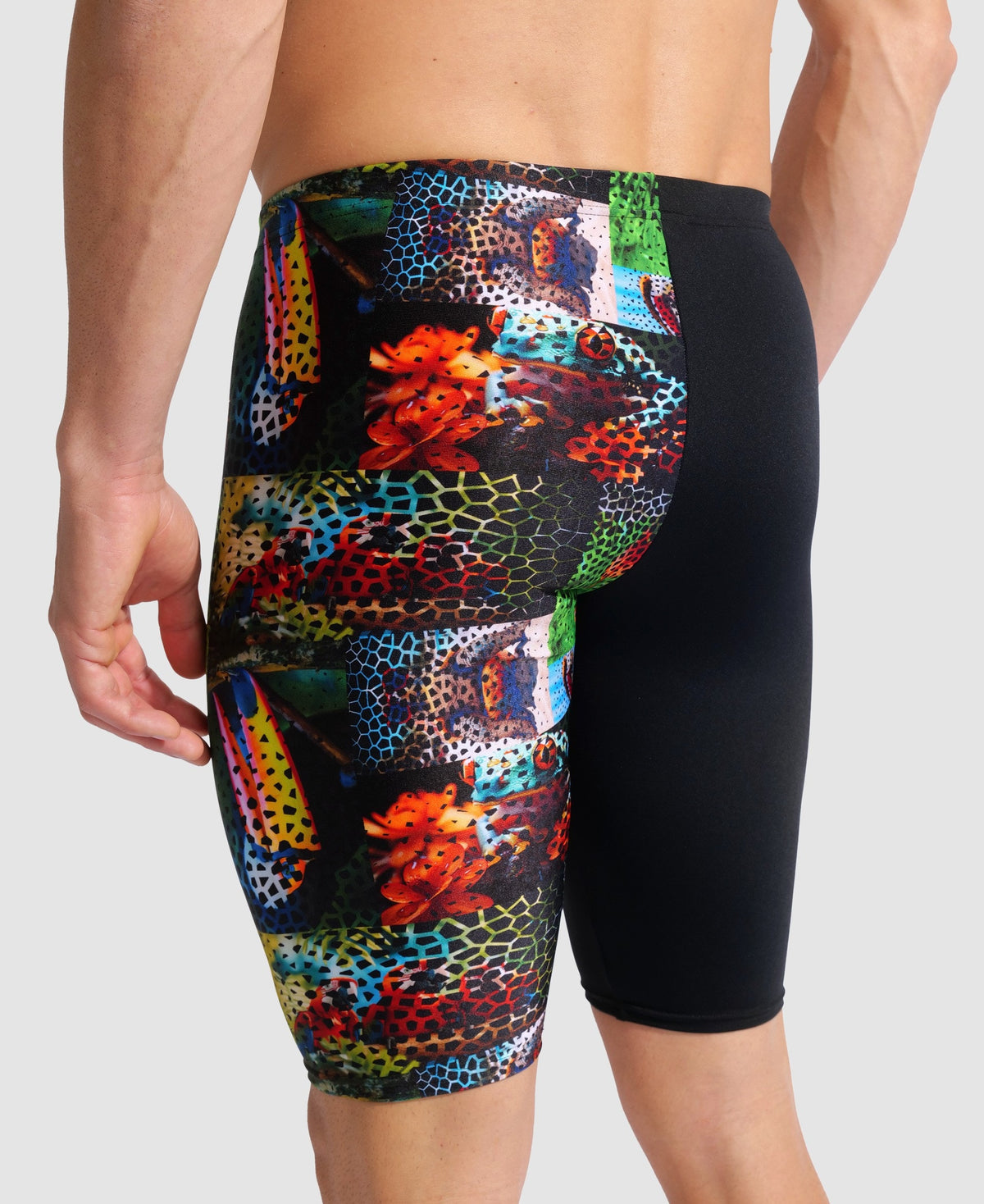 arena Animalier Jammer