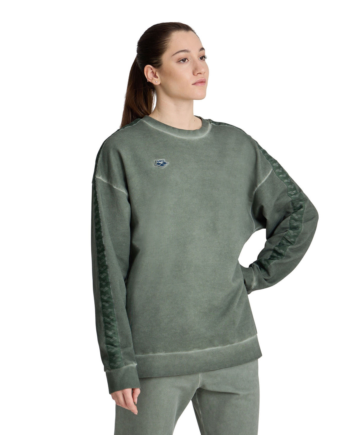 arena arena Icons Unisex Oversize Sweatshirt