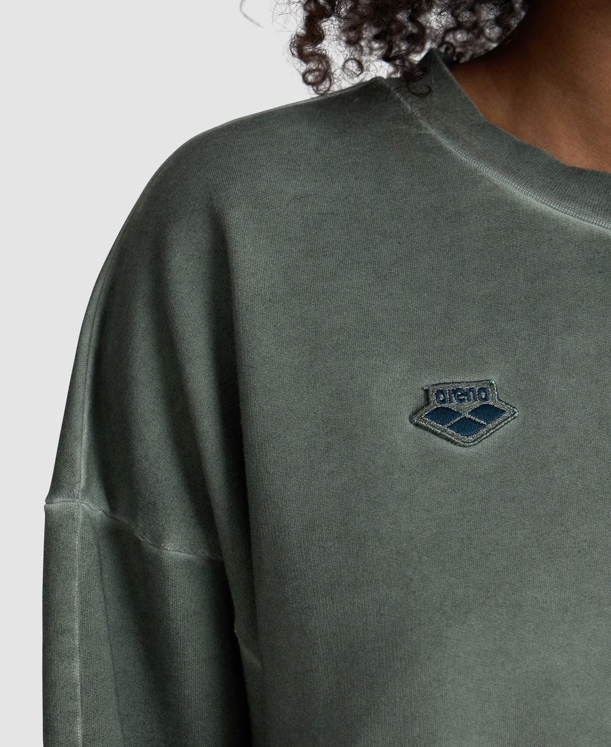 arena Women's Icons Oversized Crewneck
