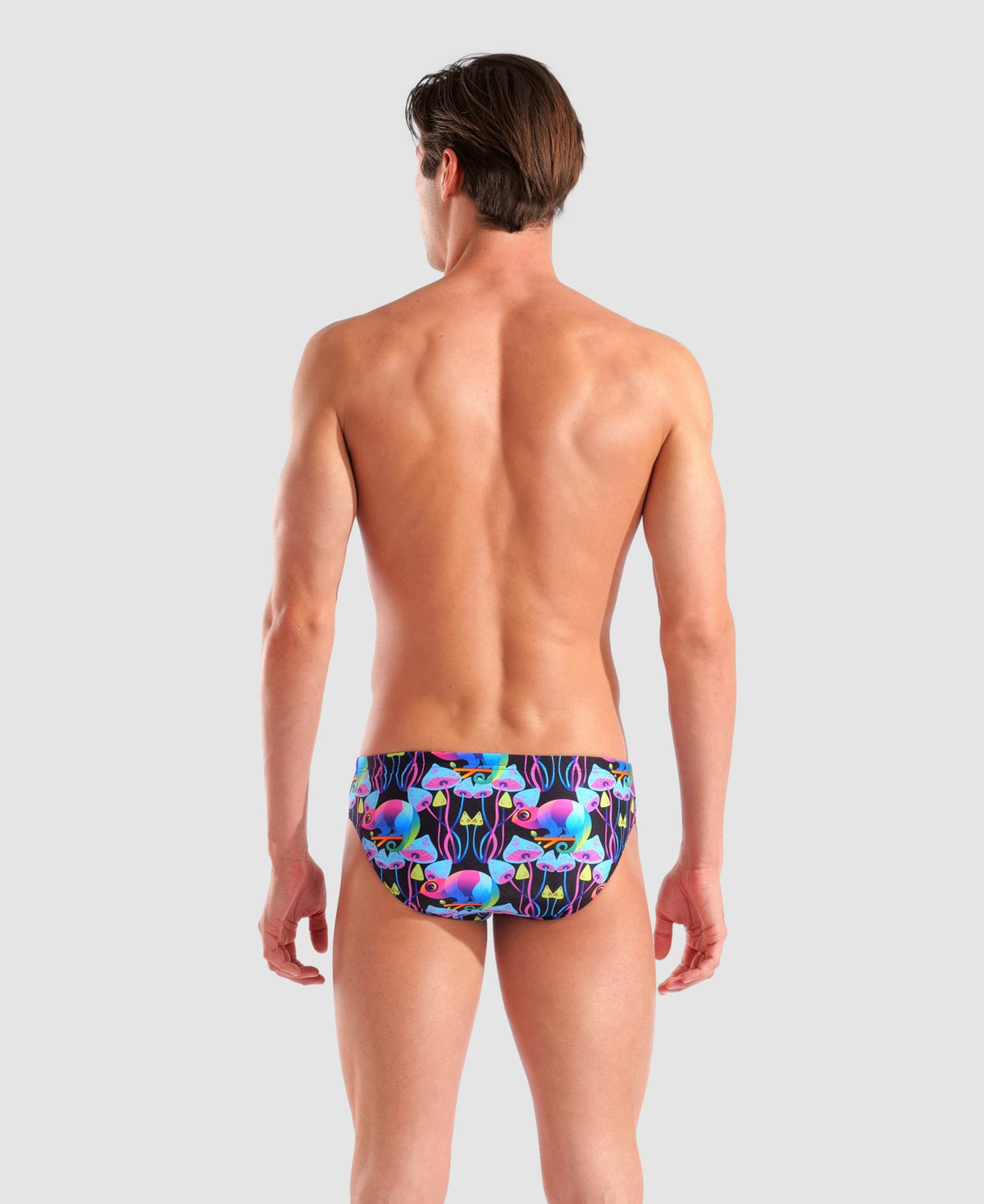 arena Multi Chameleons Briefs