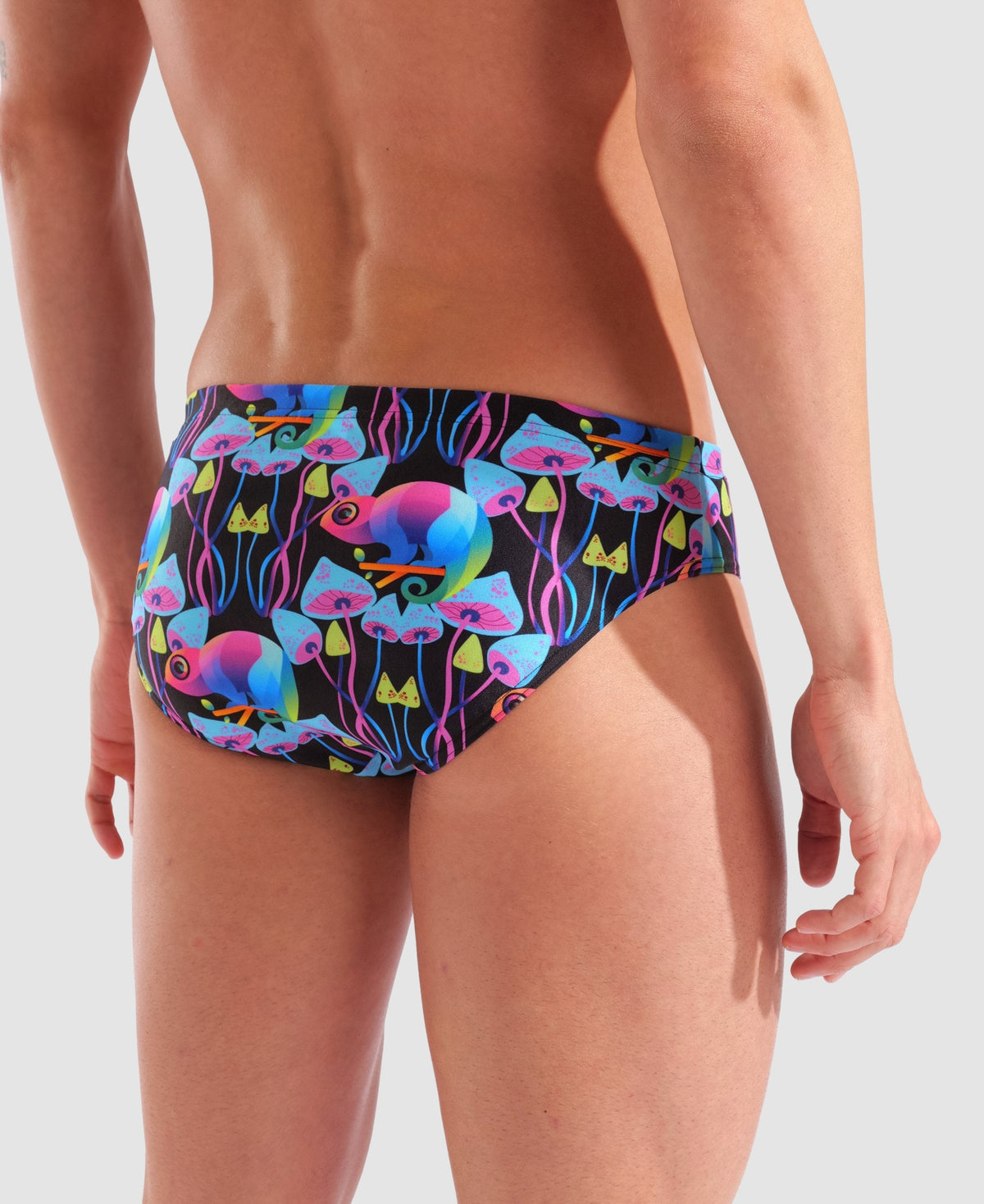 arena Multi Chameleons Briefs