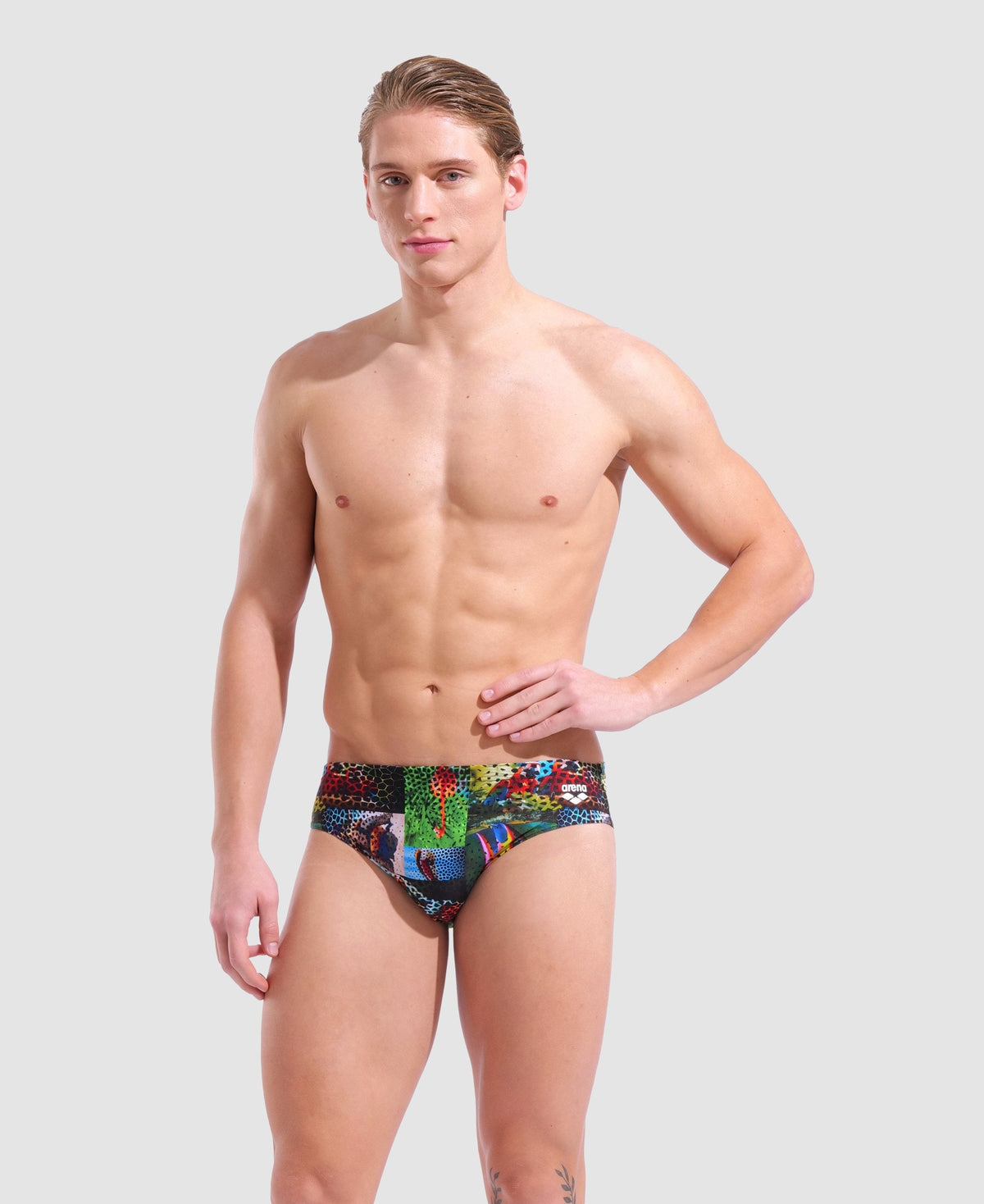 arena Animalier Briefs