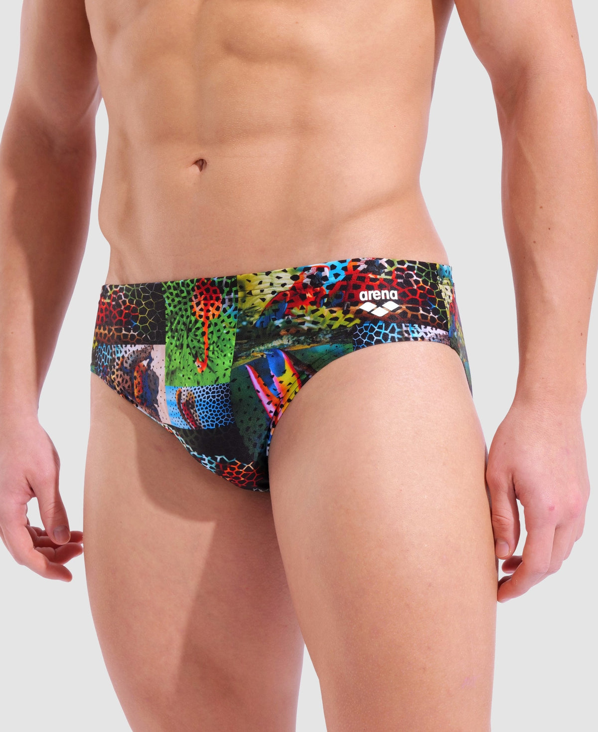 arena Animalier Briefs