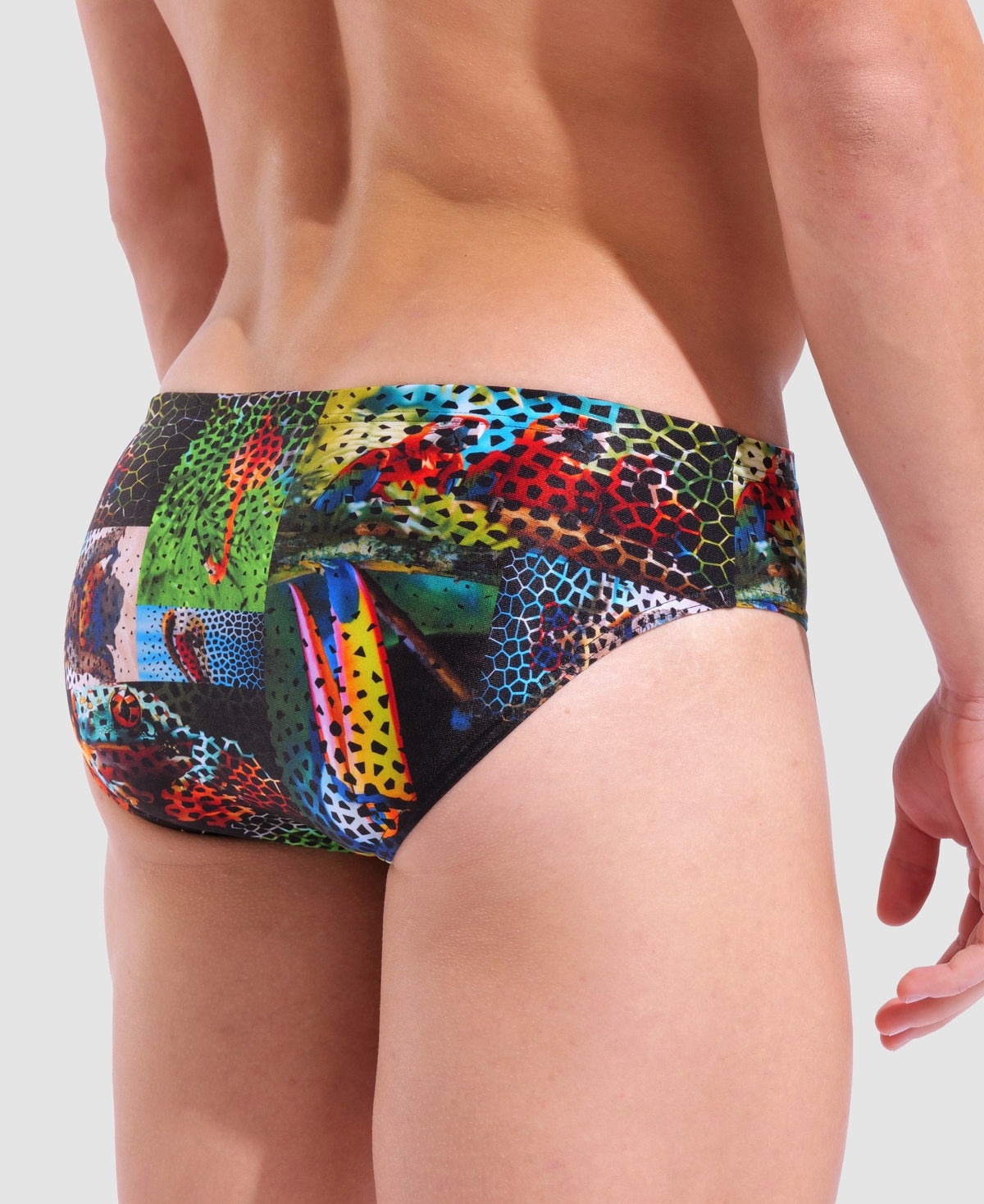 arena Animalier Briefs