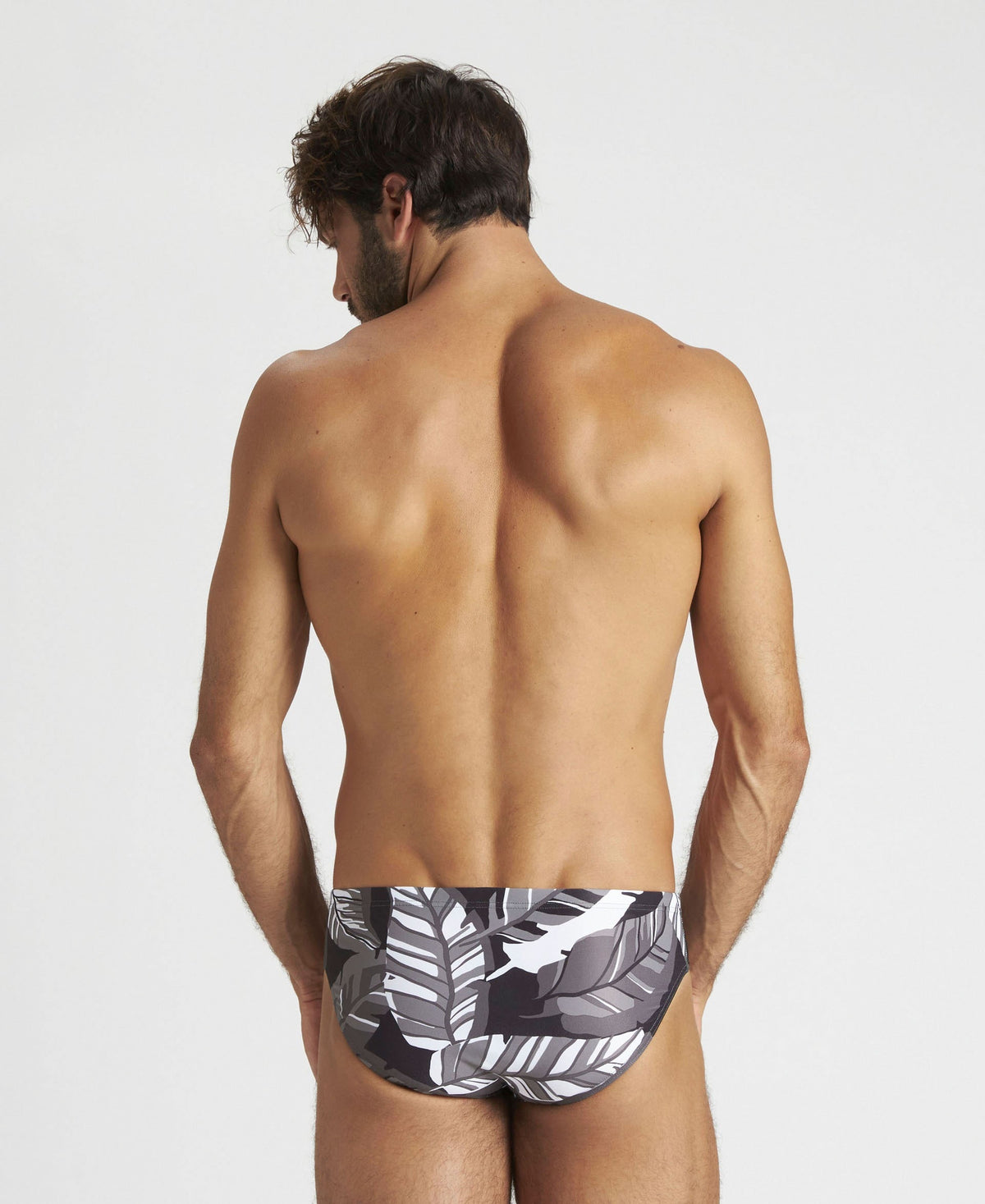 arena Tropicals Brief