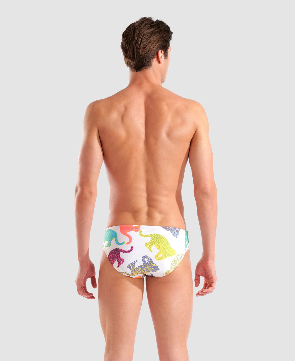arena In The Wild Briefs