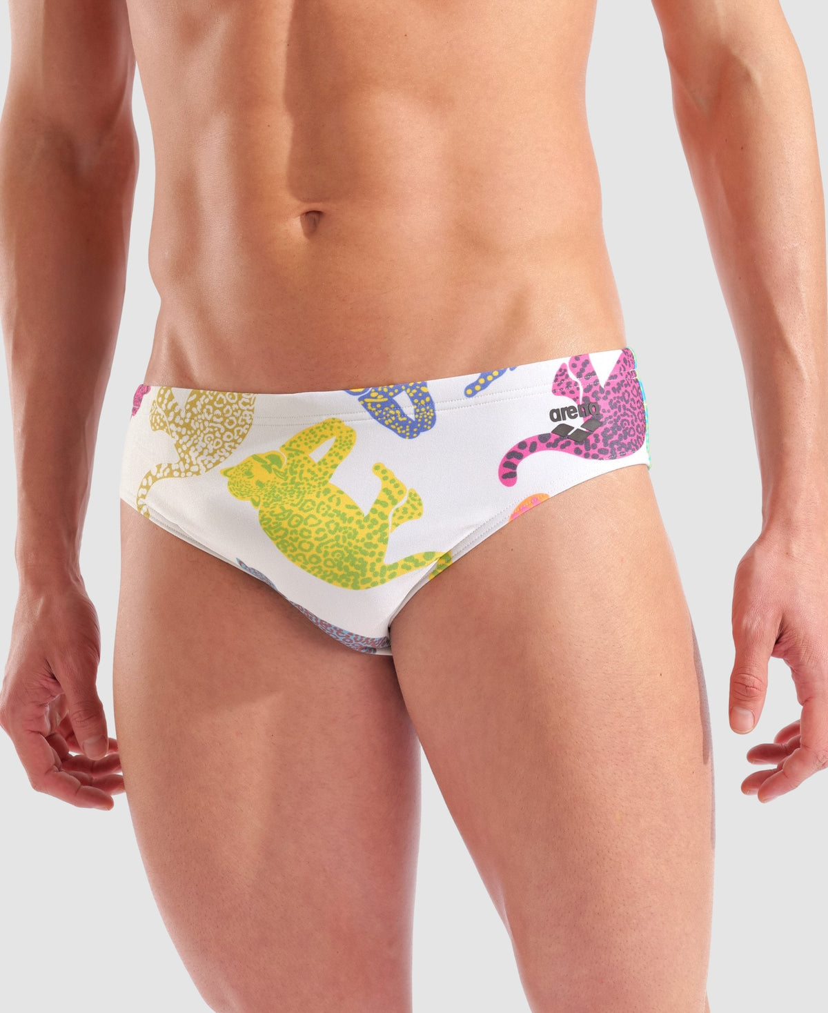 arena In The Wild Briefs
