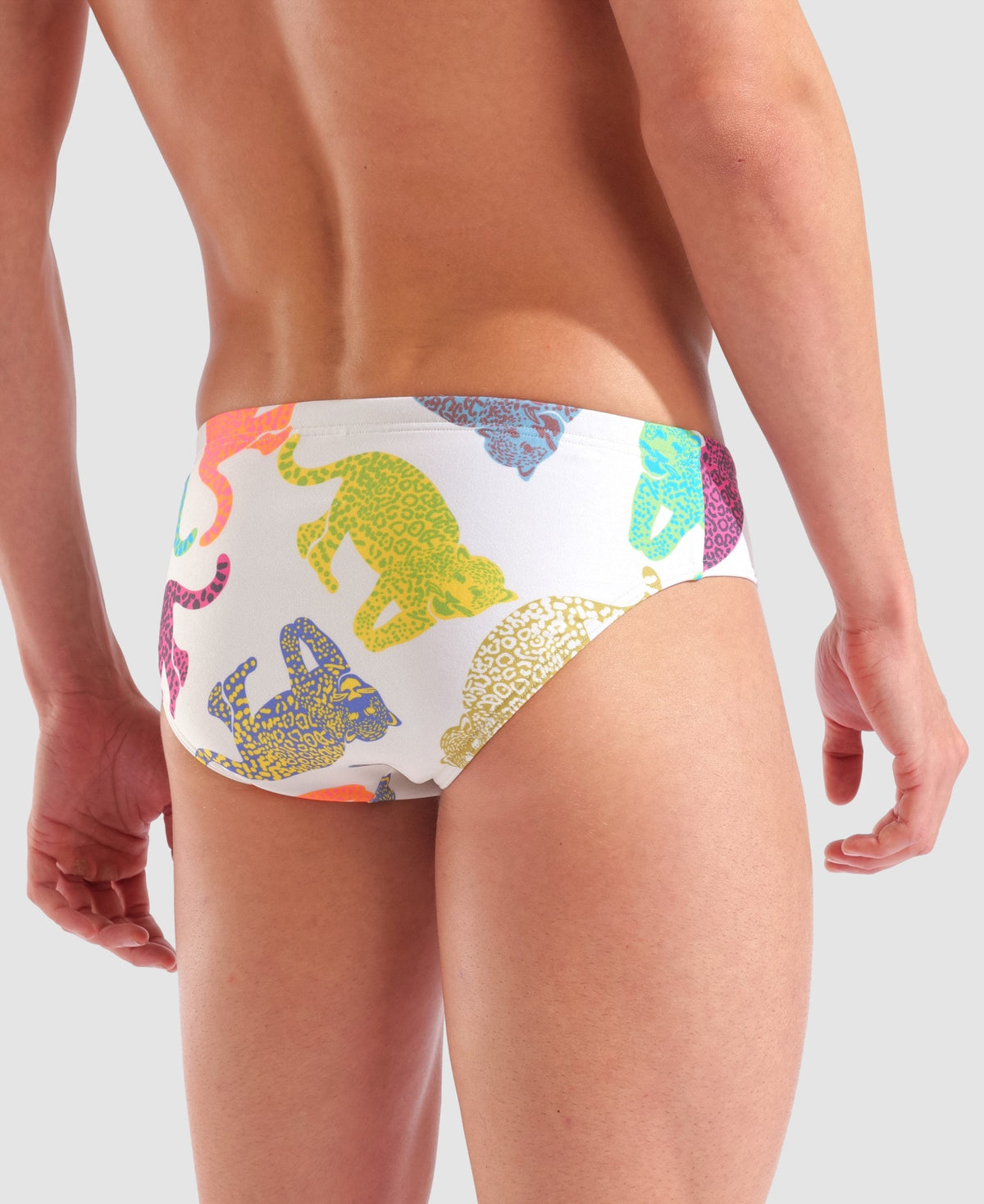 arena In The Wild Briefs