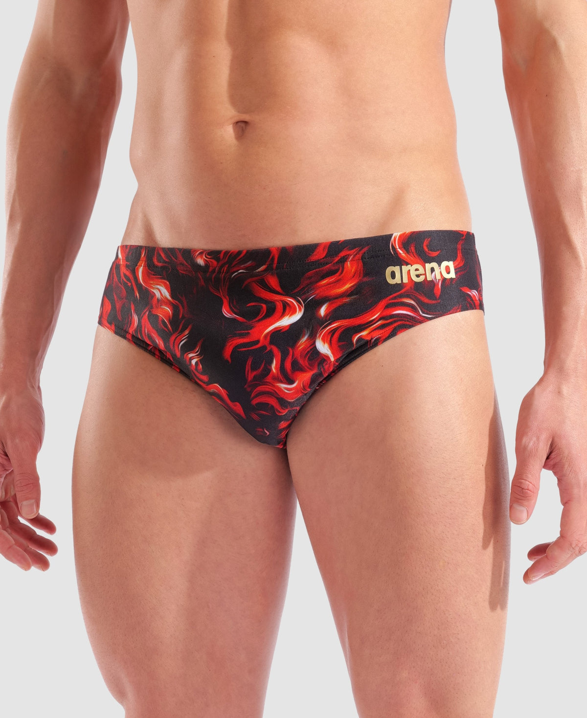 arena Indomitus Briefs