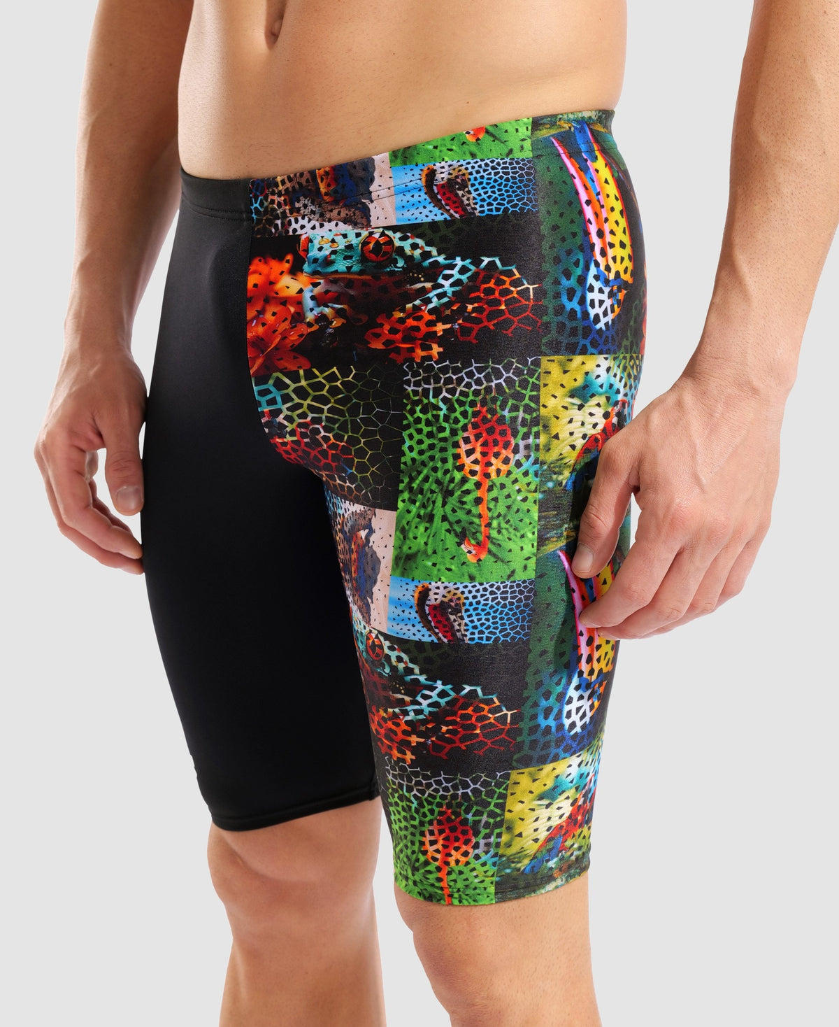 arena Animalier Jammer
